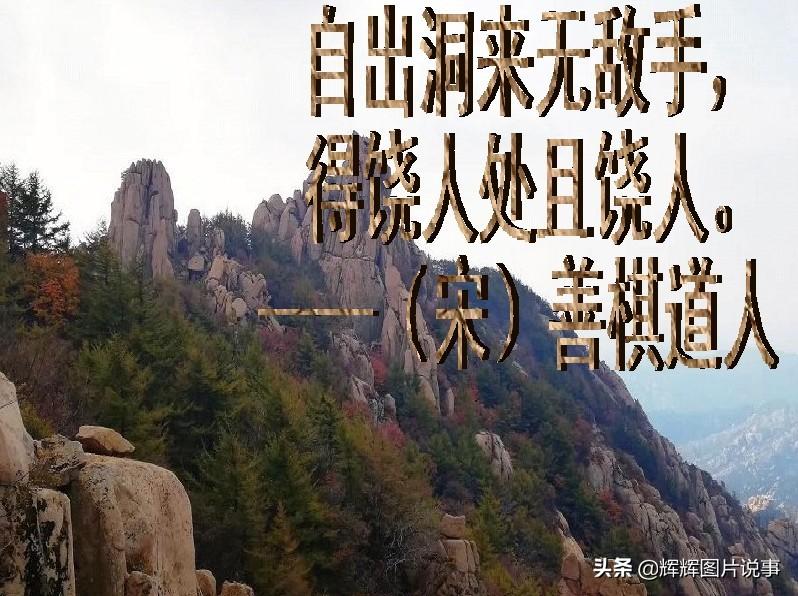 关于宽容的名人名言