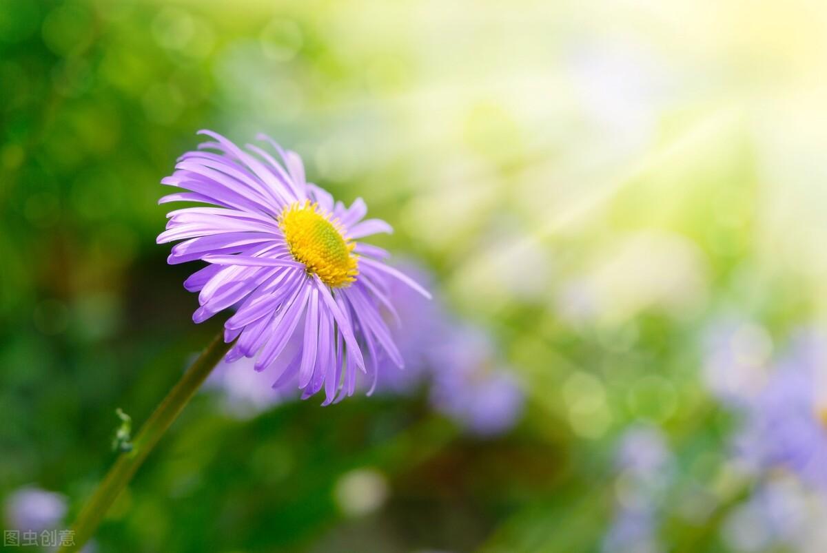 迎接九月的唯美句子，关于9月温柔文案12句