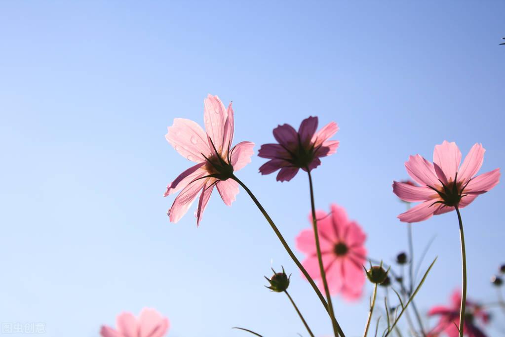 迎接九月的唯美句子，关于9月温柔文案12句