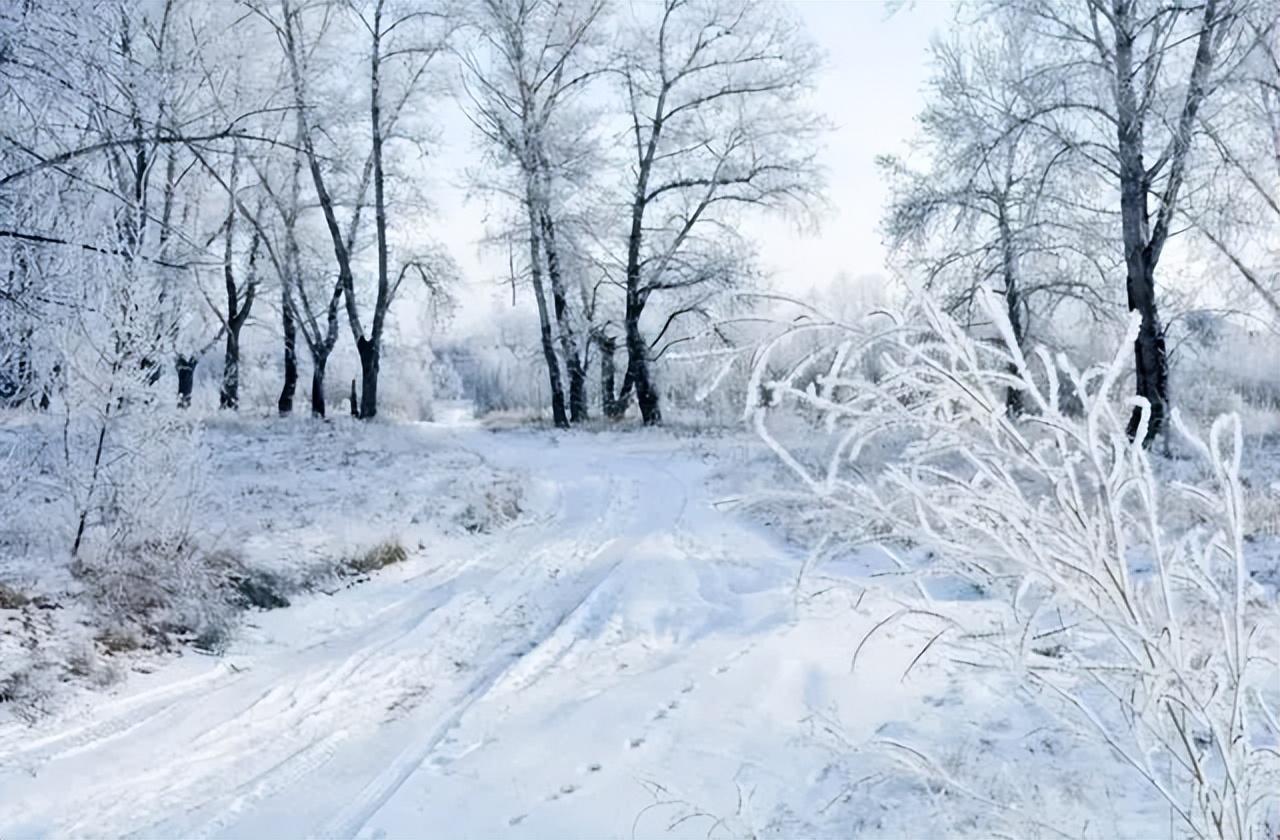 大雪节气诗词5首，每一首都是经典