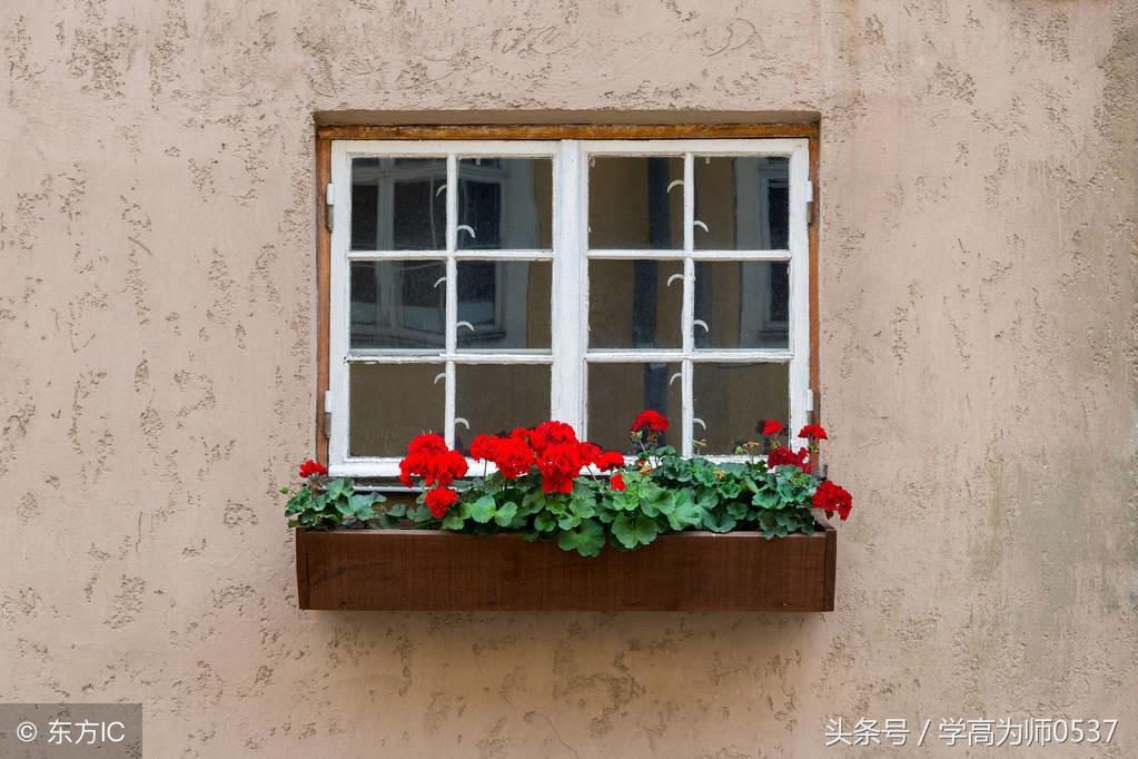 含花的诗句50句，总有一句你会喜欢!