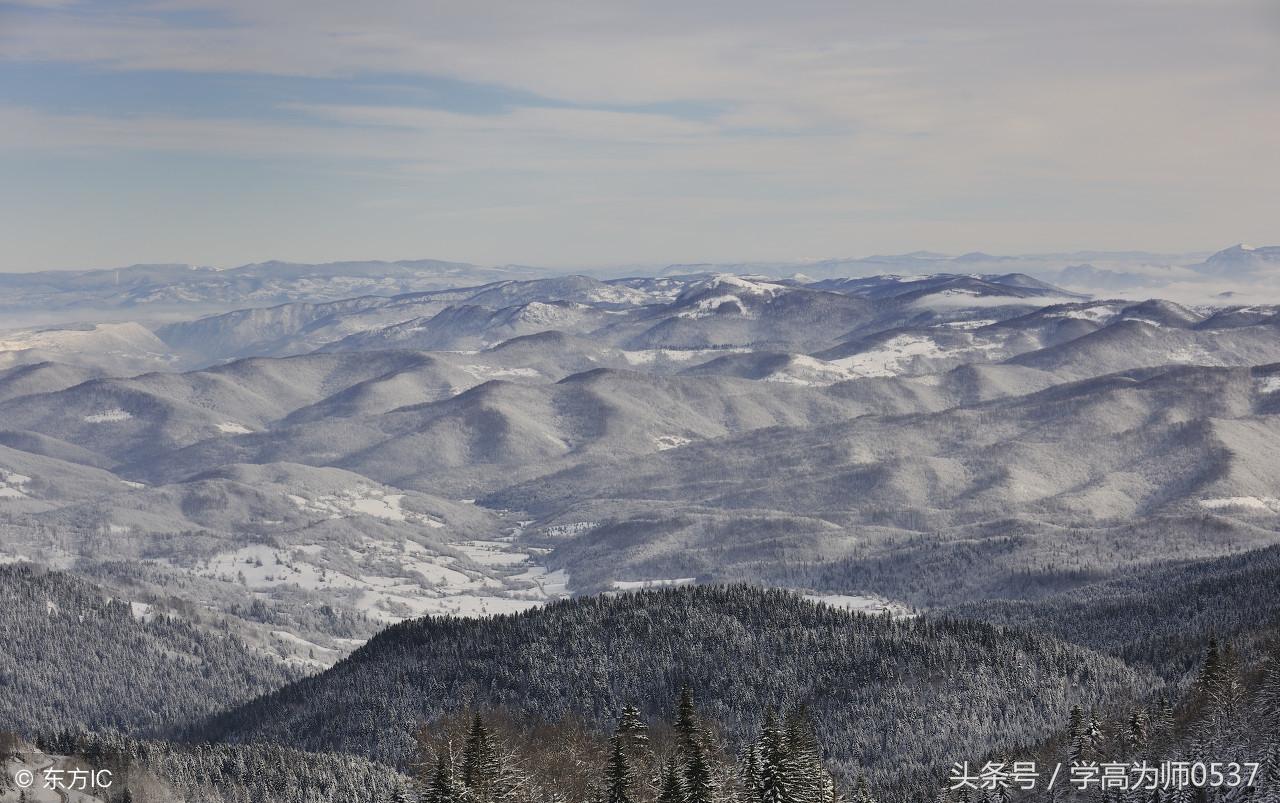 含花的诗句50句，总有一句你会喜欢!