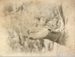 思念一个人的心情短语50句，隔不断的想念