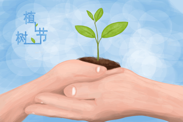 植树节的诗歌9首，植树榆槐桑柳杨