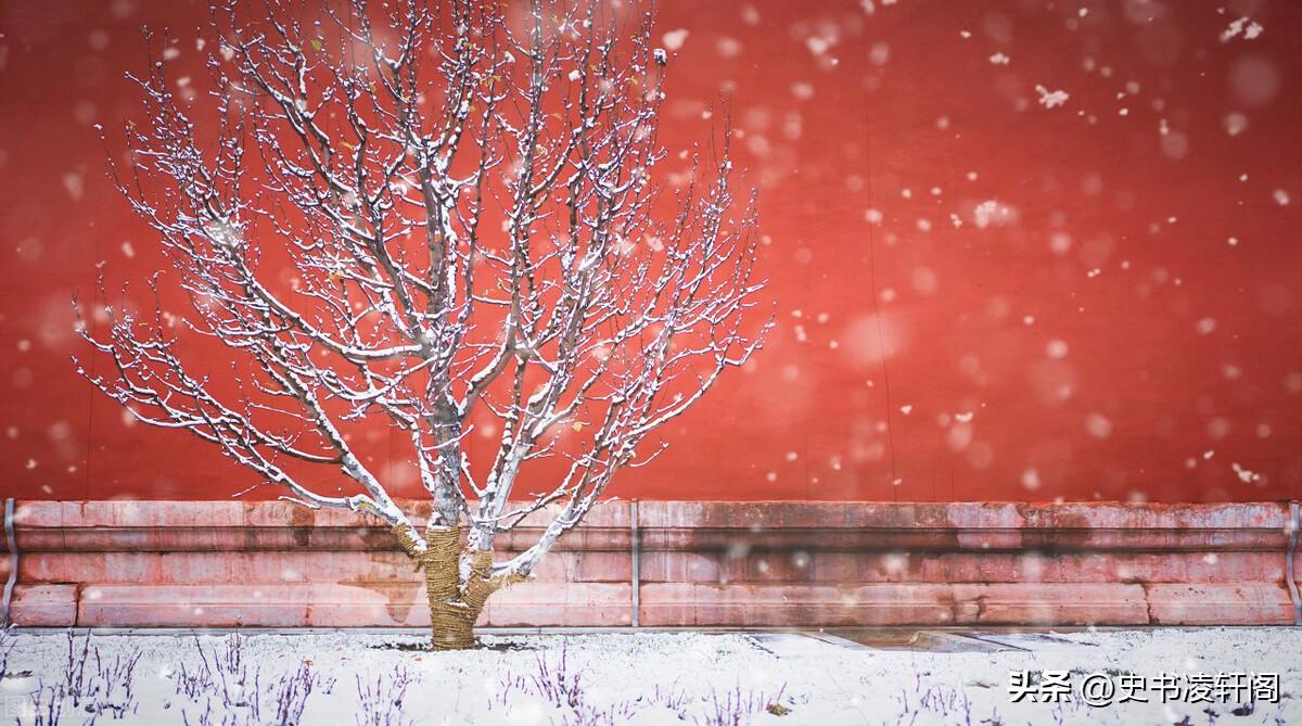 描写冬天的诗句10首，诗中有寒冷，也有温情