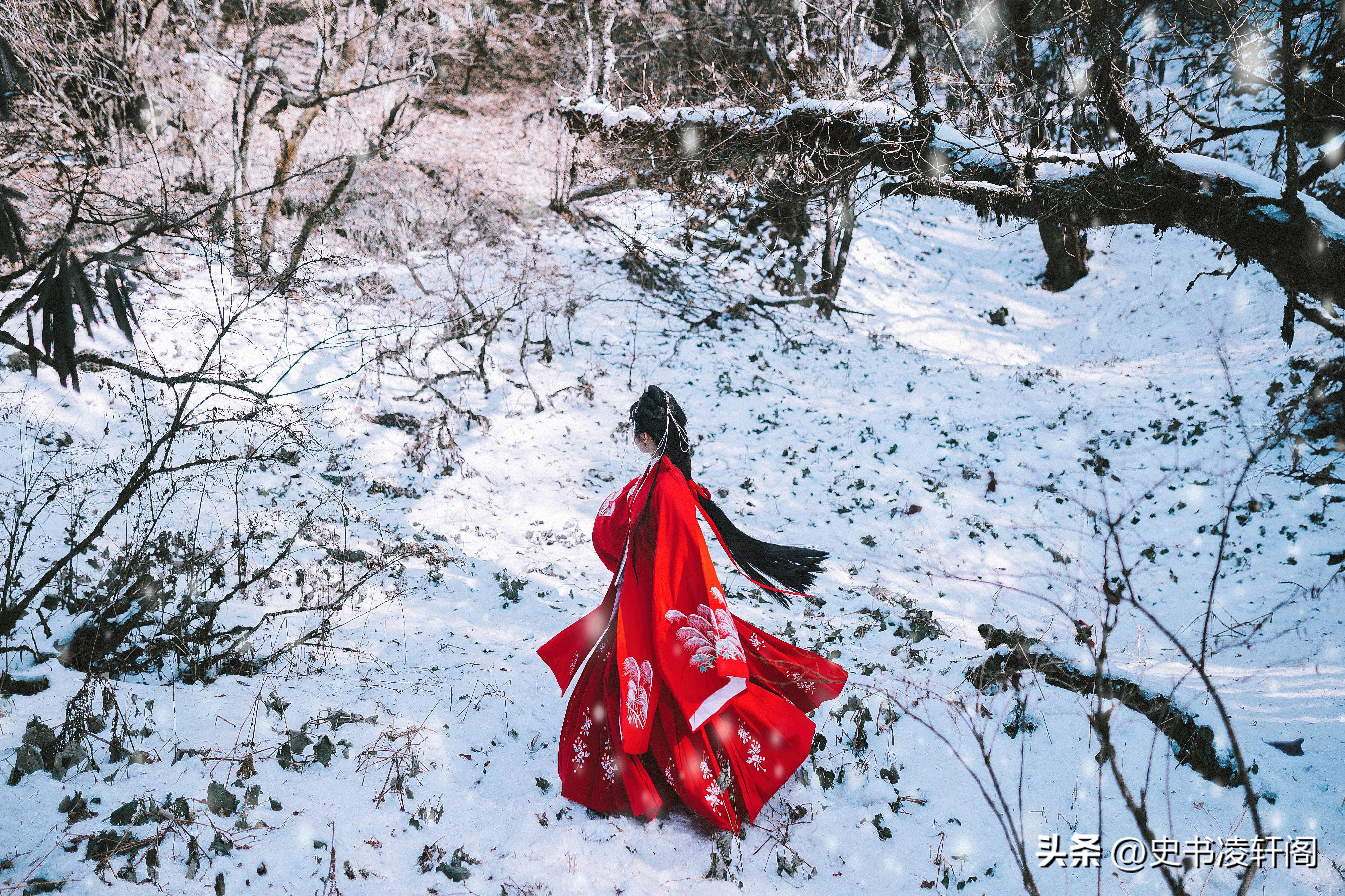 描写冬天的诗句10首，诗中有寒冷，也有温情