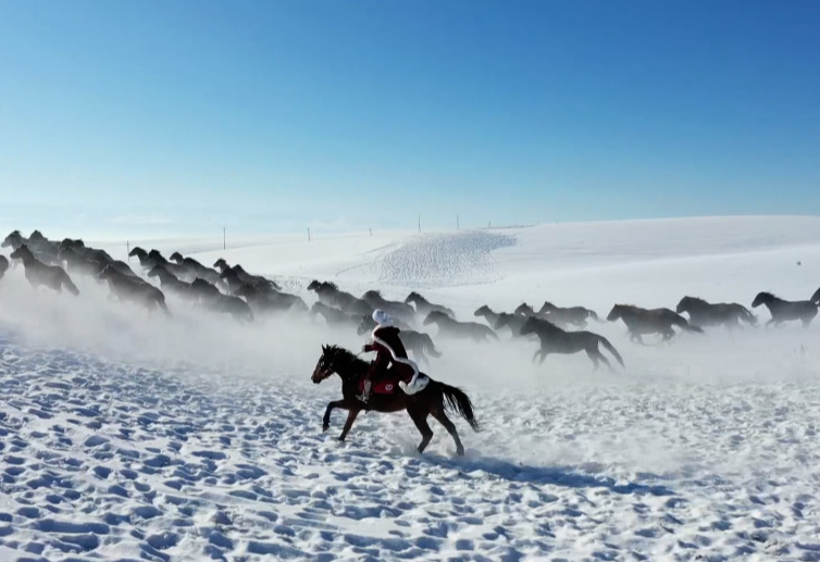 高适的诗8首，首首经典，满怀豪情