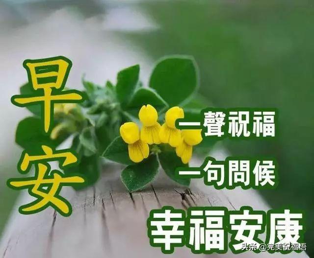 冬天祝福短信11句，愿你幸福，快乐每个瞬间