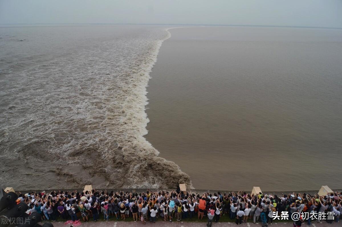 钱塘江大潮的诗句7首，又是一年观潮时