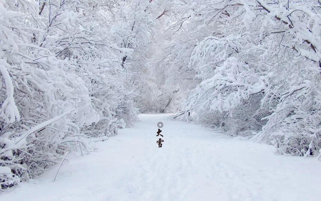 大雪节气诗词5首，每一首都是经典