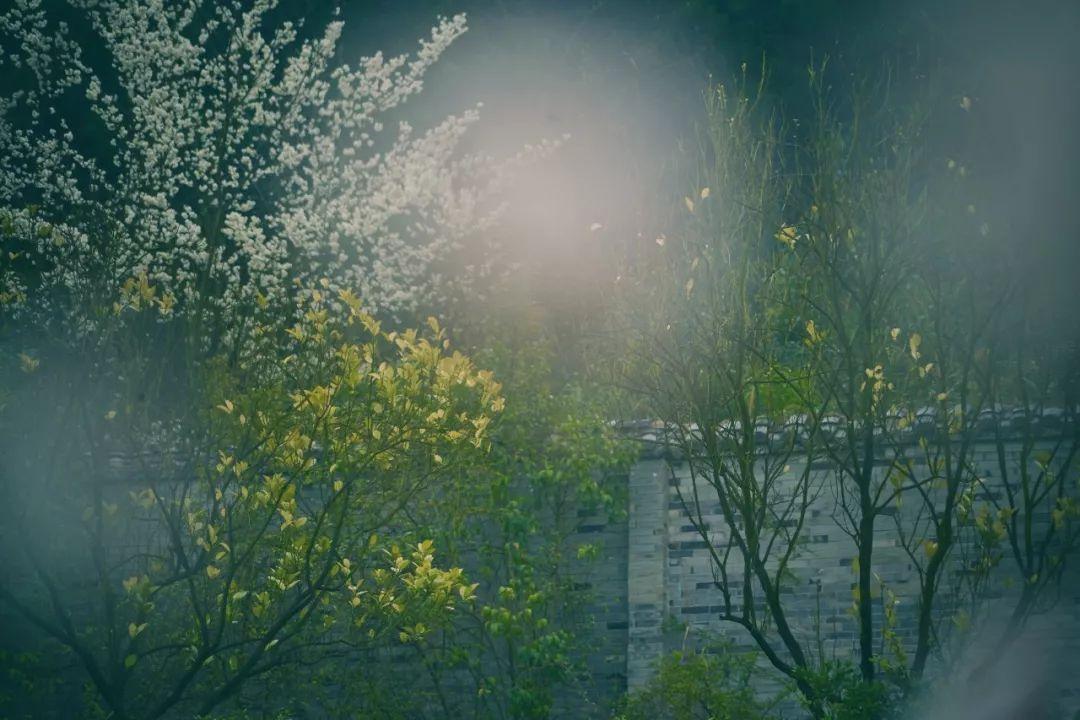 带春的成语26个（附：来源和释义）