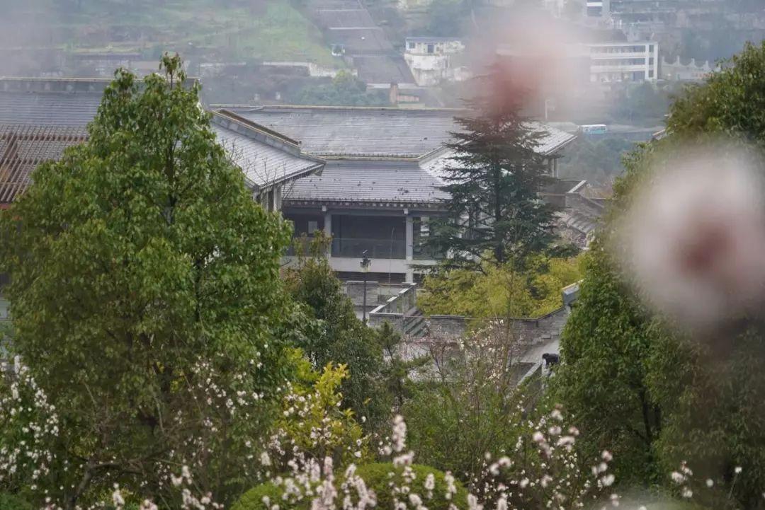 带春的成语26个（附：来源和释义）