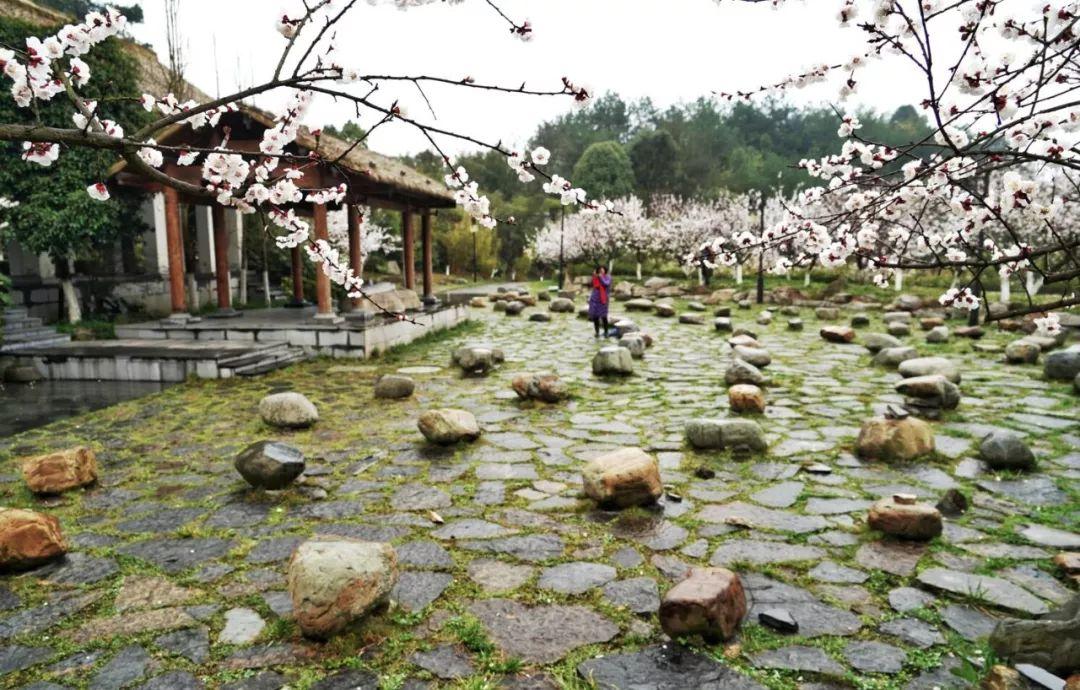 带春的成语26个（附：来源和释义）