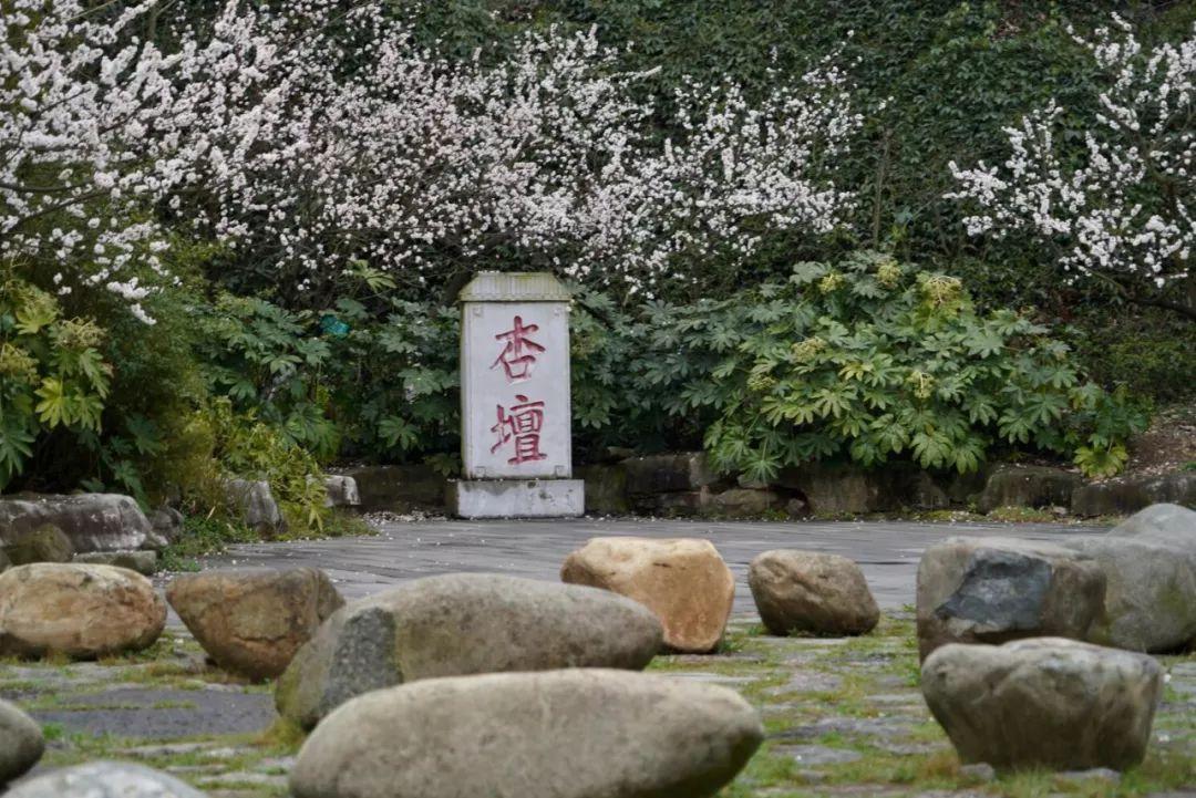 带春的成语26个（附：来源和释义）