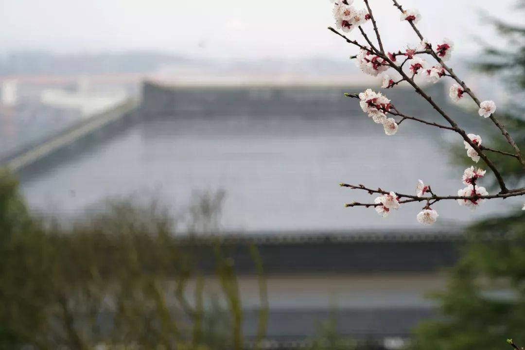 带春的成语26个（附：来源和释义）