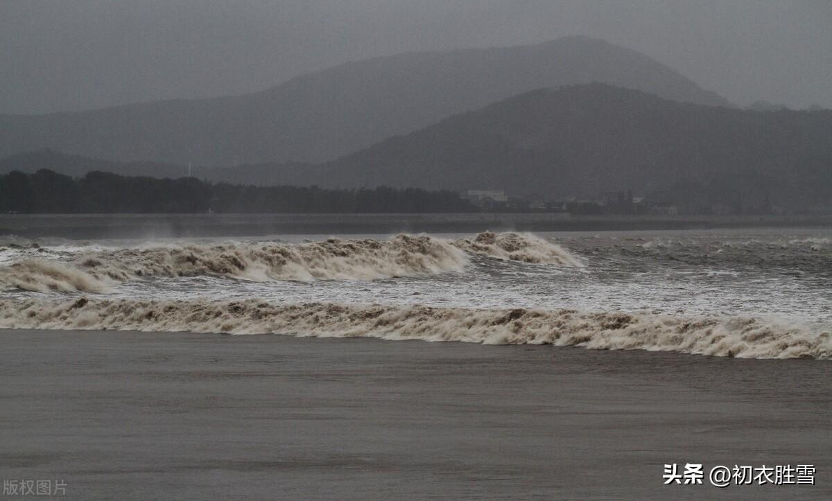 钱塘江大潮的诗句7首，又是一年观潮时