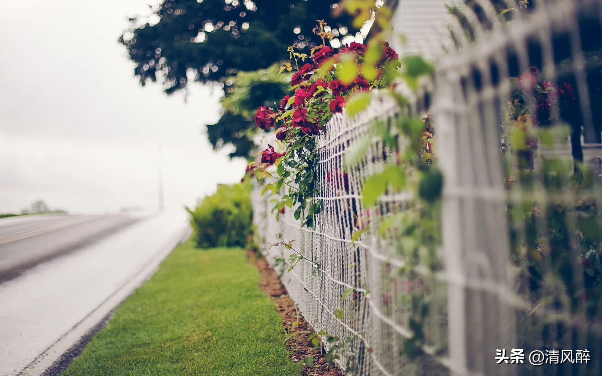 心情不好的个性签名15句，所谓浪漫，就是没有后来